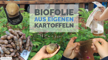 Biofolie aus eigenen Kartoffeln