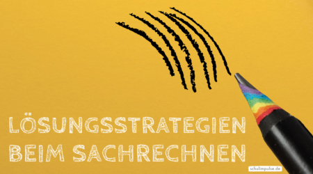 Lösungsstrategien beim Sachrechnen