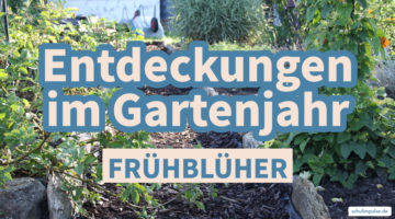 Entdeckungen im Gartenjahr: Frühjahrsblüher