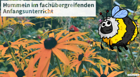 Hummeln Fachübergreifendes Lernen im Anfangsunterricht