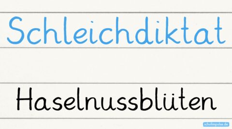 Schleichdiktat: Haselnussblüten
